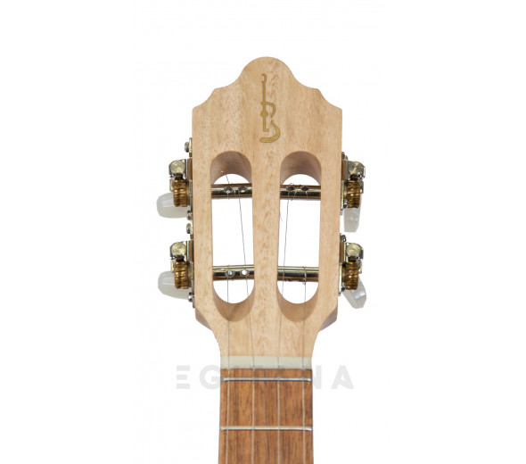 apc-100_602ceeb073108.jpg