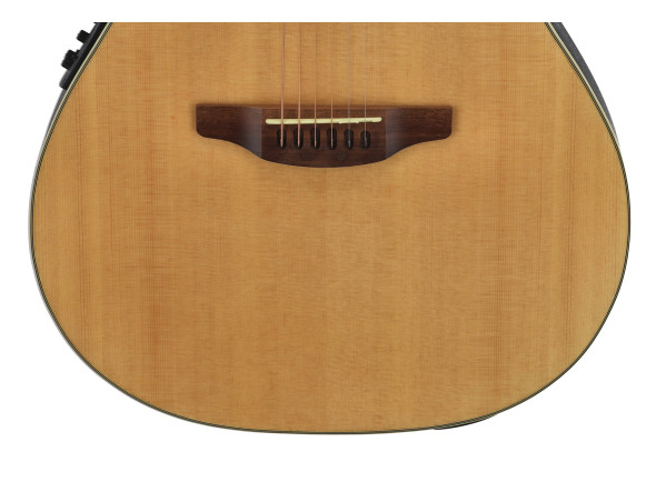applause-elite-ae44-mid-cutaway_683464f1c467c.jpg