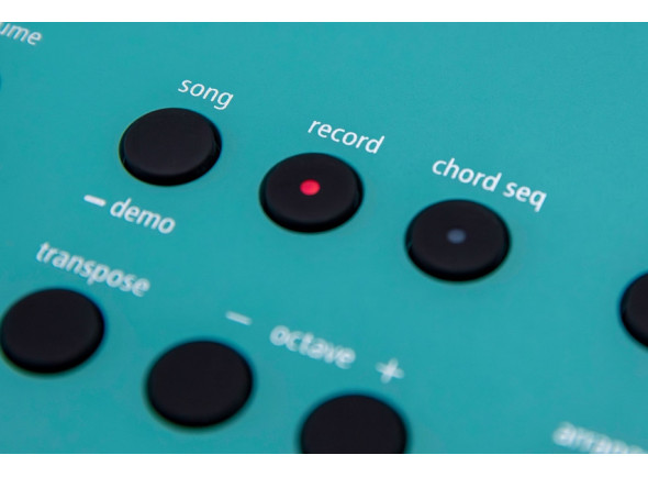 broland-gokeys-3-tq-turquoise-teclado-portatil-piano-sintetizador-arranger-ritmos-tecnologia-zen-core-61-teclas-best-seller-b_68260e530ae5c.jpg