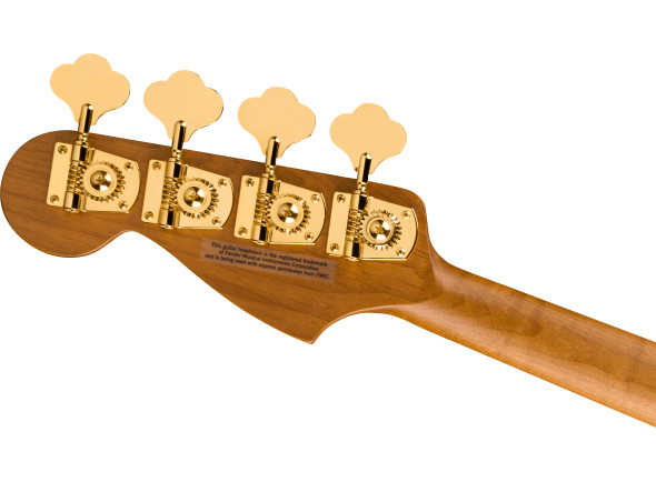 charvel-pm-bass-sd-pj-iv-mah-nat_6638b6023d0fc.jpg