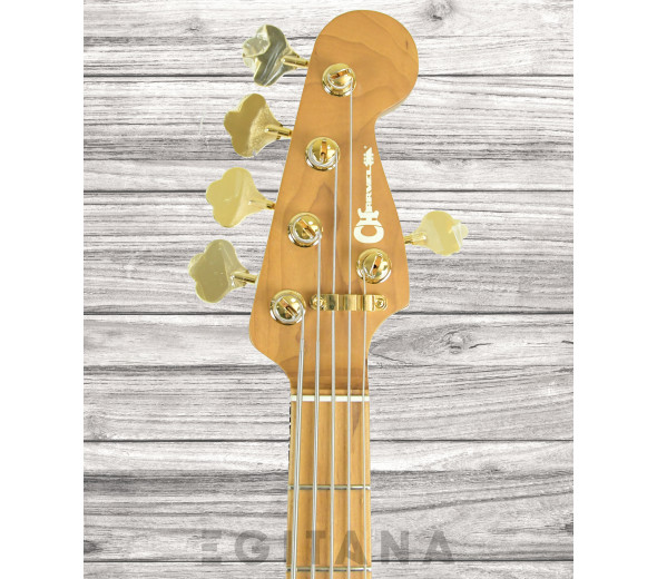 charvel-pro-mod-sd-bass-jj-v-car_61bcc6ca92bcb.jpg